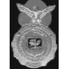 US AIR FORCE SECURITY POLICE BADGE PIN